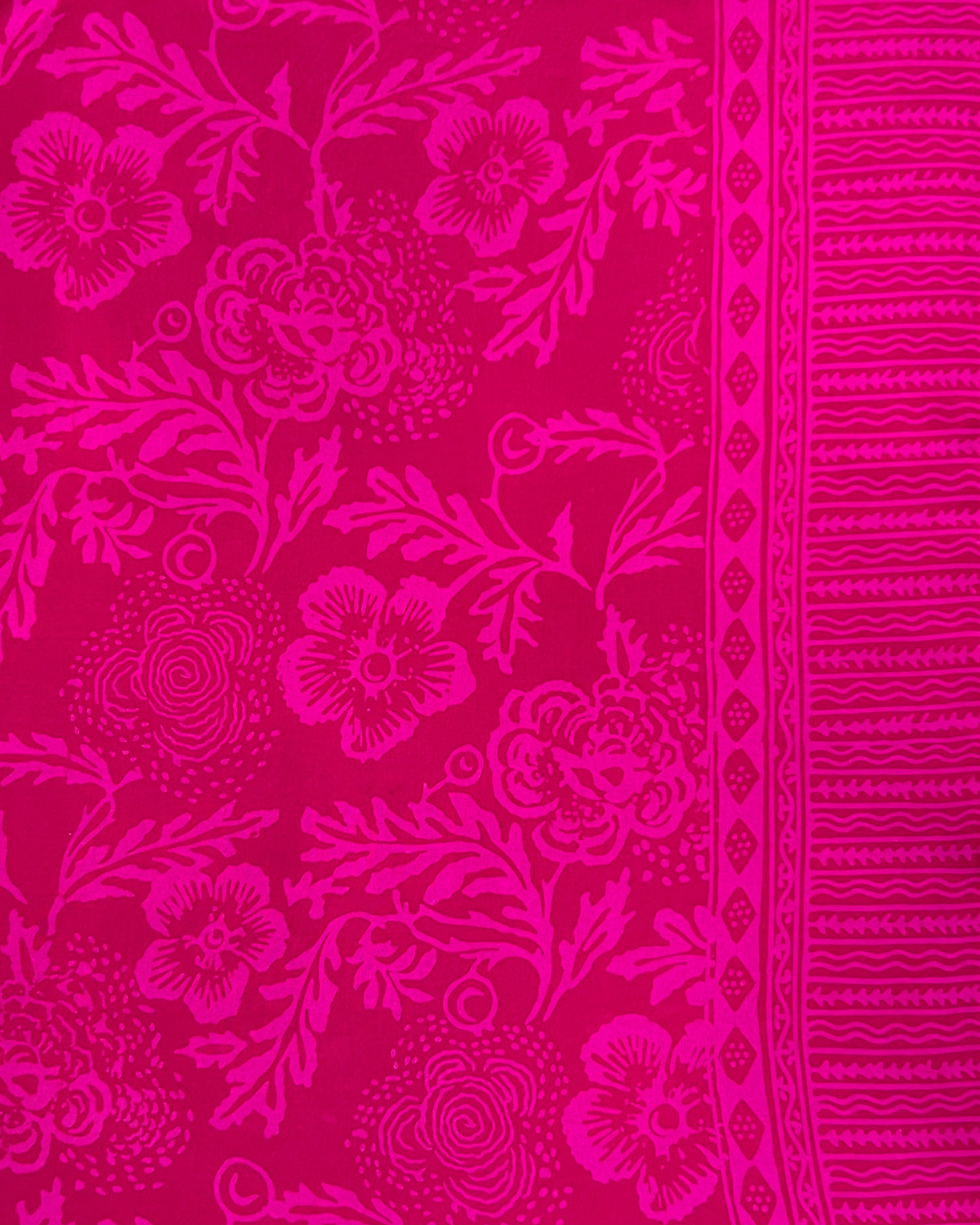 Coastal Camelia - Fuscia Sunsets