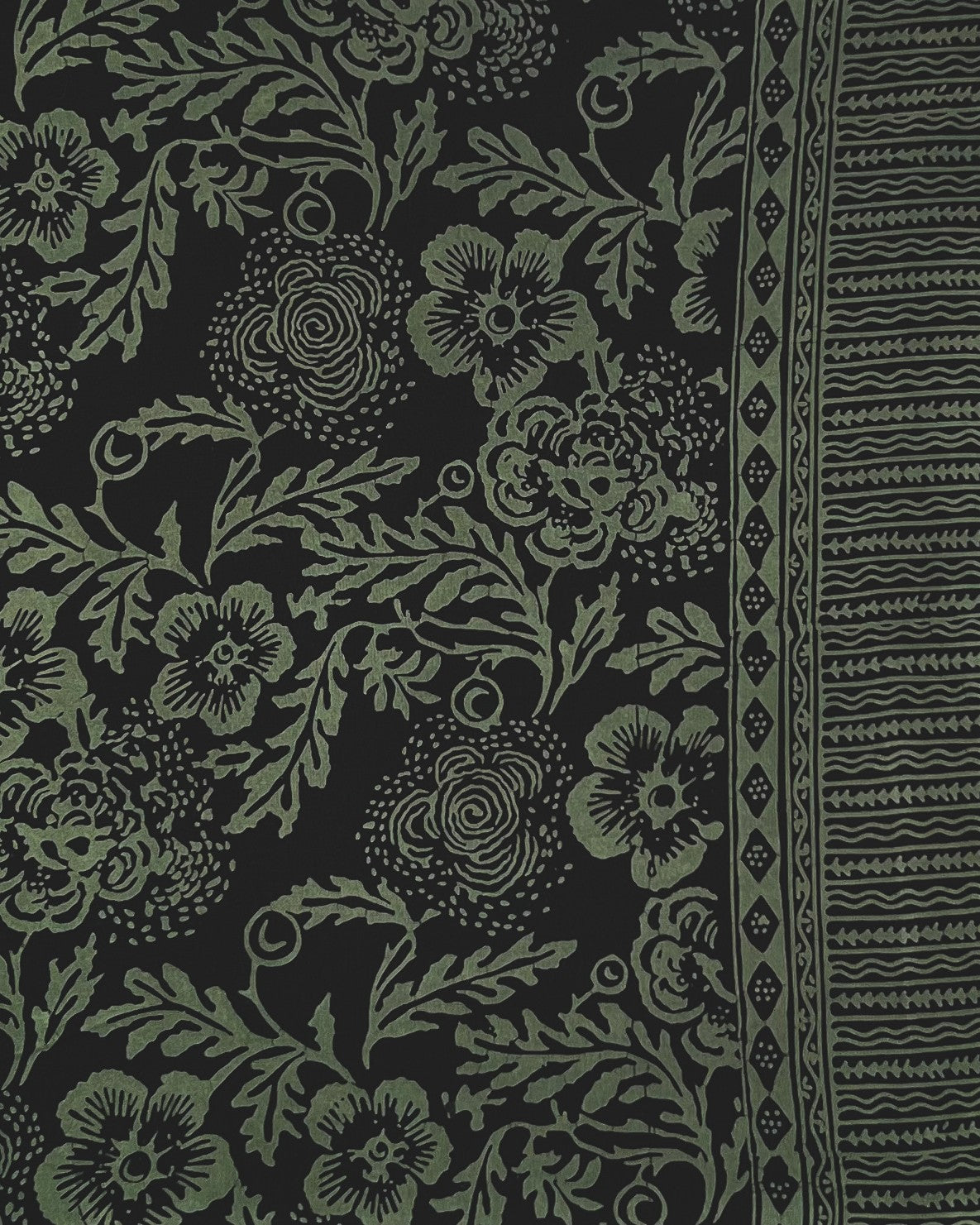 Coastal Camelia - Midnight Bliss
