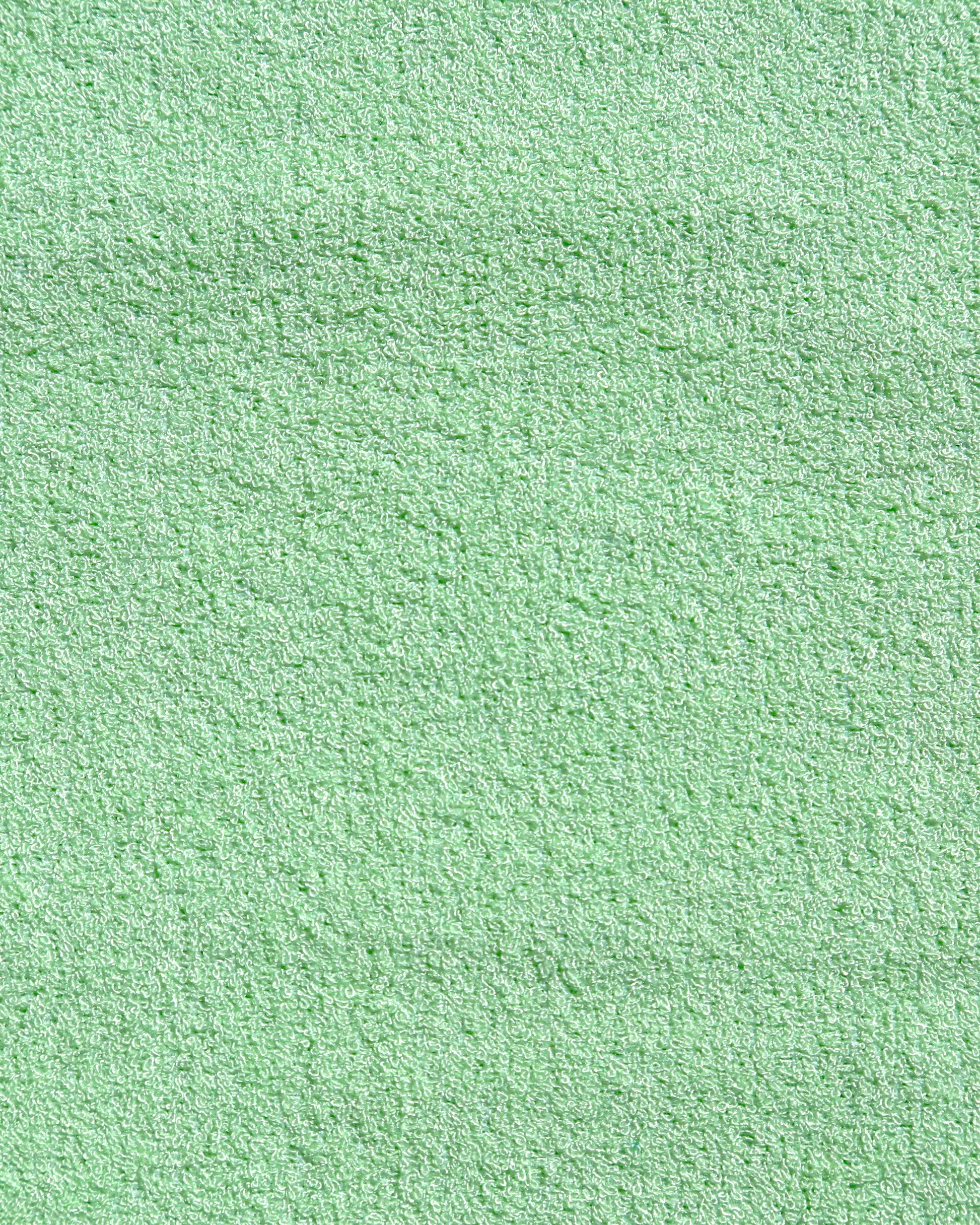 Monkey Moss