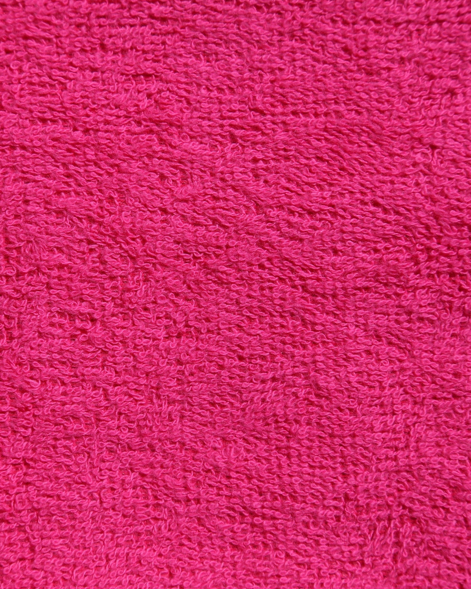 Coastal Camelia - Fuscia Sunsets